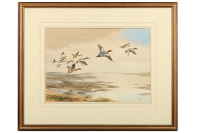 Lot 51 - Harrison (J. C.) Wigeon in Flight, original...