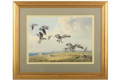 Lot 17 - Harrison (J. C.) Barnacle Geese on Islay,...