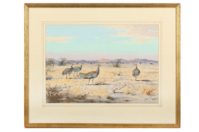 Lot 44 - Harrison (J. C.) Stanley Bustards, South...