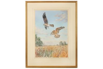 Lot 29 - Harrison (J. C.) Hawks with Kill, original...