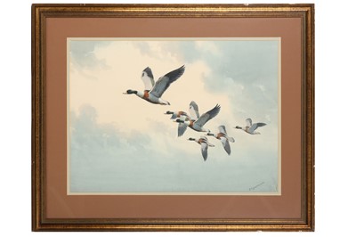 Lot 19 - Harrison (J. C.) Common Shelducks in Flight,...