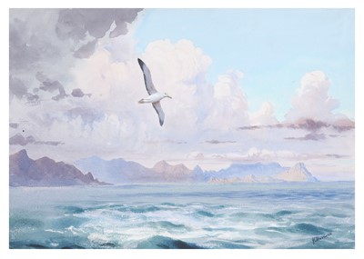 Lot 28 - Harrison (J. C.) Gull, original watercolour &...