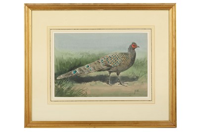 Lot 57 - Harrison (J. C.) Grey Peacock-pheasant,...