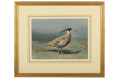 Lot 64 - Harrison (J. C.) Yellow-necked Koklass,...