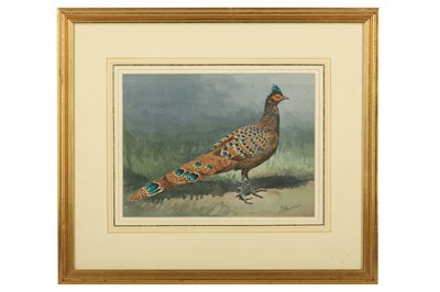 Lot 61 - Harrison (J. C.) Peacock-pheasant, original...