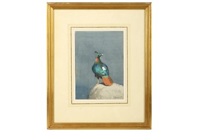 Lot 58 - Harrison (J. C.) Himalayan Monal, original...