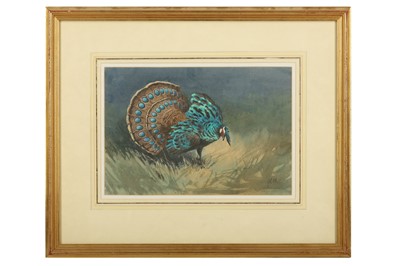 Lot 59 - Harrison (J. C.) Palawan Peacock Pheasant,...