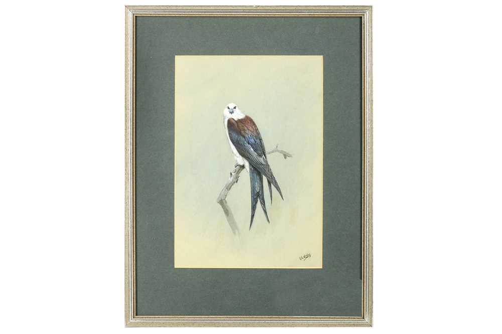 Lot 73 - Lodge (George E.) Sea Eagle, original...