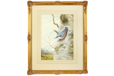 Lot 126 - Rickman (Philip) ‘Nuthatch’, 360 x 250 mm;...