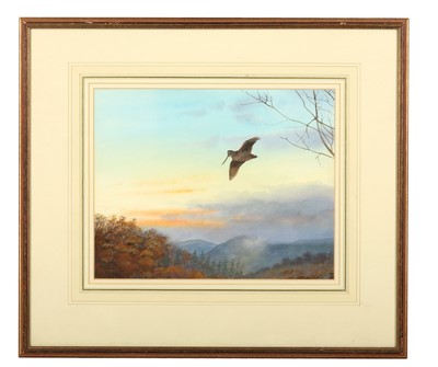 Lot 122 - Rickman (Philip) Snipe in Flight, 250 x 320 mm,...