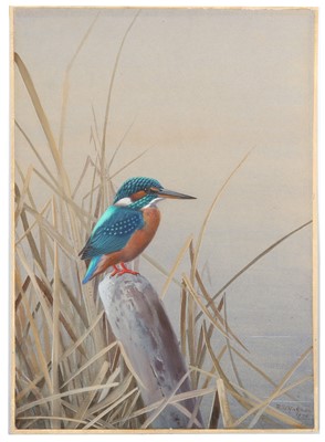 Lot 91 - Rickman (Philip) Kingfisher, signed & dated...