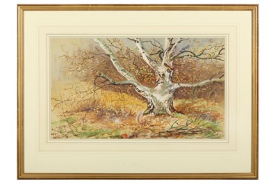 Lot 96 - Rickman (Philip) Old Silver Birch with...