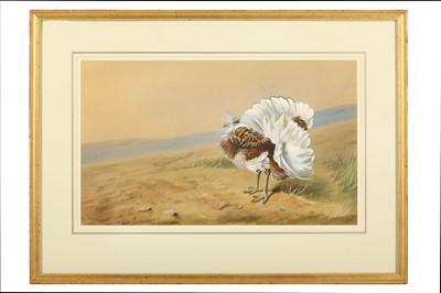 Lot 125 - Rickman (Philip) ‘Great Bustard’, original...