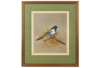 Lot 79 - Rickman (Philip) Magpie, on grey paper, signed,...