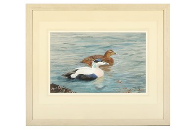 Lot 119 - Rickman (Philip) Two Ducks [Eider], signed &...