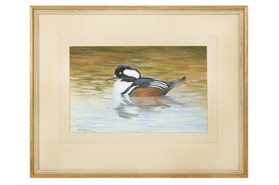 Lot 100 - Rickman (Philip) Brown Duck on a Bank, signed,...