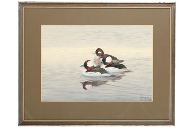 Lot 121 - Rickman (Philip) Buffleheads, 385 x 560 mm,...