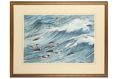 Lot 99 - Rickman (Philip) Long-tailed Ducks & Eider,...