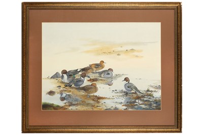 Lot 123 - Rickman (Philip) Pintails, original...