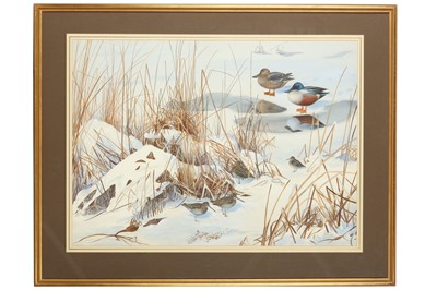 Lot 89 - Rickman (Philip) Northern Shovelers & Snipe,...