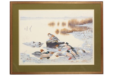 Lot 92 - Rickman (Philip) Mergansers, original...