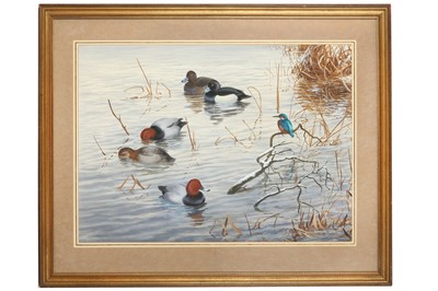 Lot 90 - Rickman (Philip) Tufted Ducks, Pochards &...