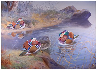 Lot 94 - Rickman (Philip) Mandarin Ducks, 1957; Baikal...