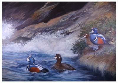 Lot 115 - Rickman (Philip) Harlequin Ducks, original...