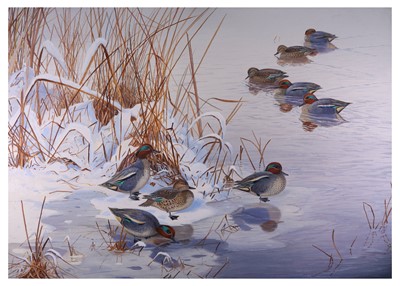 Lot 88 - Rickman (Philip) Eurasian Teal in Winter,...