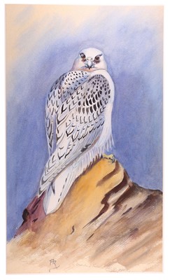 Lot 156 - Rickman (Philip) Birds of Prey: ‘Greenland...