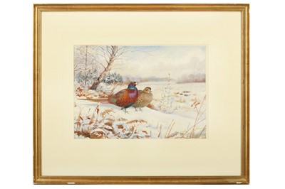 Lot 97 - Rickman (Philip) Pheasants (Cock & Hen),...