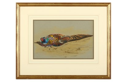 Lot 80 - Rickman (Philip) Pheasant Resting, on grey...