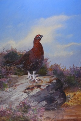 Lot 101 - Rickman (Philip) Cock Grouse, signed & dated...