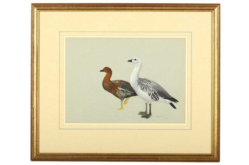 Lot 128 - Rickman (Philip) Geese in Flight, original...