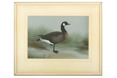 Lot 137 - Rickman (Philip) Canada Goose, signed & dated...