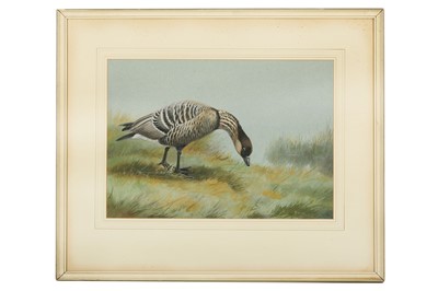 Lot 138 - Rickman (Philip) Nene Goose; Swan Goose;...