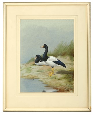 Lot 140 - Rickman (Philip) Pair of Geese on a Bank,...