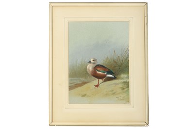 Lot 139 - Rickman (Philip) Orinoco Goose, original...