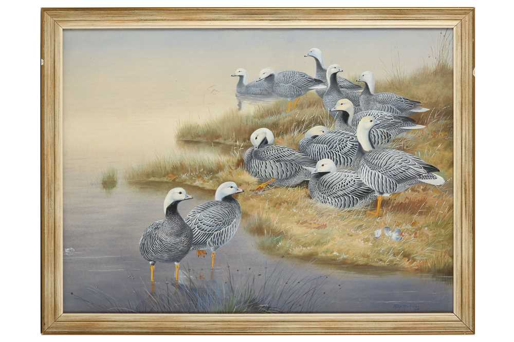 Lot 133 - Rickman (Philip) Emperor Geese, original...