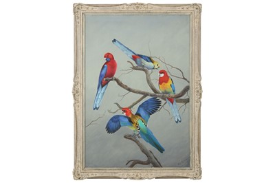 Lot 111 - Rickman (Philip) Rosellas, 810 x 550 mm;...