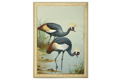 Lot 146 - Rickman (Philip) Black Crowned Cranes; Grey...