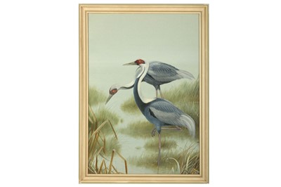 Lot 144 - Rickman (Philip) White-naped Cranes; Common...