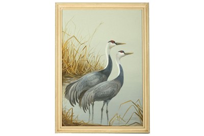 Lot 143 - Rickman (Philip) Hooded Cranes; Brolga Cranes,...