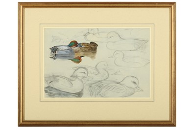 Lot 84 - Rickman (Philip) Waterfowl Study, original...