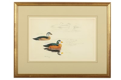 Lot 83 - Rickman (Philip) Pigmy Geese; Studies of Ducks,...