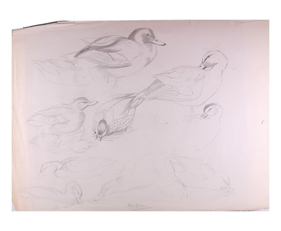 Lot 150 - Rickman (Philip) A collection of 60 bird...