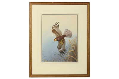 Lot 173 - Robjent (Richard) Marsh Harrier; Montagu’s...