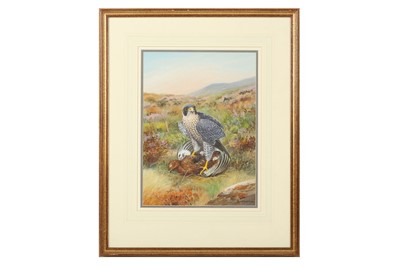 Lot 180 - Robjent (Richard) Peregrine with Grouse Kill,...