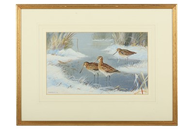 Lot 183 - Robjent (Richard) Snipe (Common & Jack),...