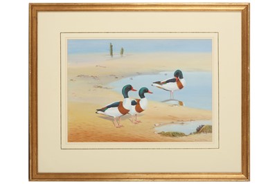 Lot 181 - Robjent (Richard) Shelducks, signed & dated...